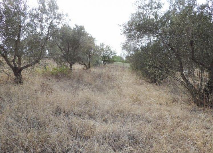 Μονοκατοικία 400 τ.μ. προς πώληση, Μεσημέρι Επανομής