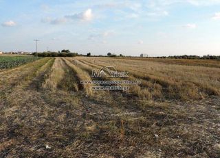 Αγροτεμάχια 8.600 τ.μ. για πώληση