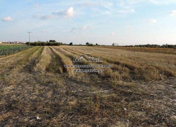 Αγροτεμάχια 8.600 τ.μ. για πώληση, Θεσσαλονίκη - Περιφ/Κοί Δήμοι, Επανομή