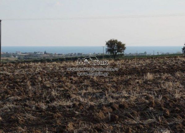 Αγροτεμάχια 10.000 τ.μ. για πώληση, Θεσσαλονίκη - Περιφ/Κοί Δήμοι, Επανομή