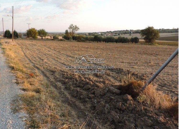 Αγροτεμάχια 13.500 τ.μ. προς πώληση, Κέντρο Επανομής