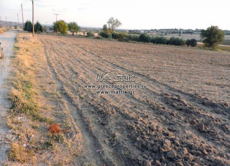 Αγροτεμάχια 13.500 τ.μ. προς πώληση, Κέντρο Επανομής