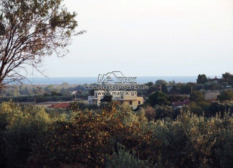 Αγροτεμάχια 13.500 τ.μ. προς πώληση, Κέντρο Επανομής