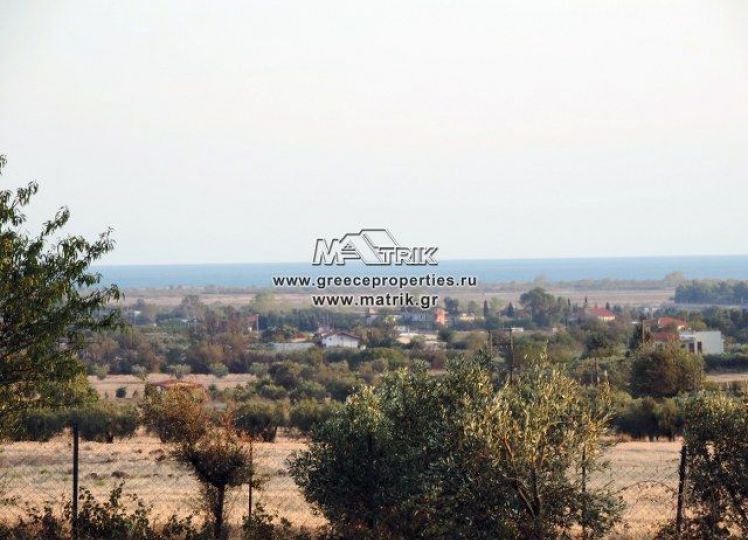 Αγροτεμάχια 13.500 τ.μ. προς πώληση, Κέντρο Επανομής