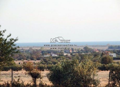 Αγροτεμάχια 13.500τ.μ. για πώληση-Επανομή » Κέντρο