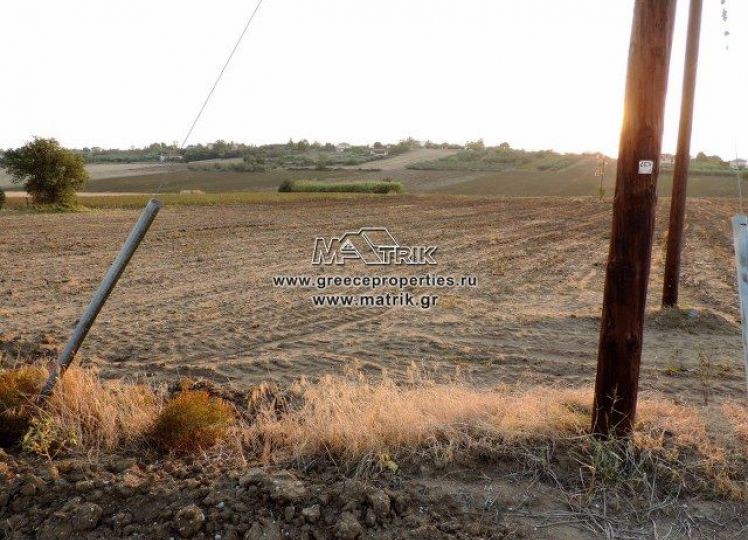 Αγροτεμάχια 13.500 τ.μ. προς πώληση, Κέντρο Επανομής