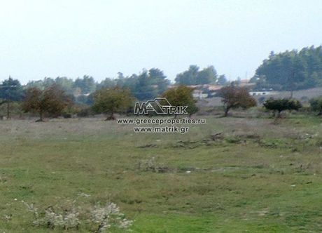 Parcel 5.000sqm for sale-Kassandra » Kallithea
