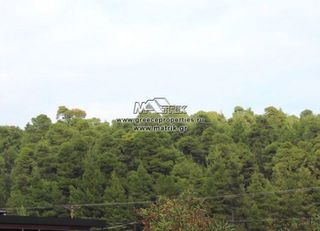 Αγροτεμάχια 5.000 τ.μ. για πώληση, Χαλκιδική, Κασσάνδρα-thumb-7