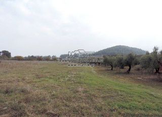 Αγροτεμάχια 5.000 τ.μ. για πώληση, Χαλκιδική, Κασσάνδρα-thumb-6