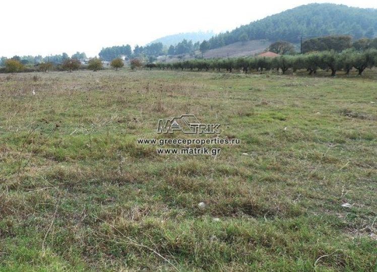 Αγροτεμάχια 5.000 τ.μ. προς πώληση, Καλλιθέα Κασσάνδρας