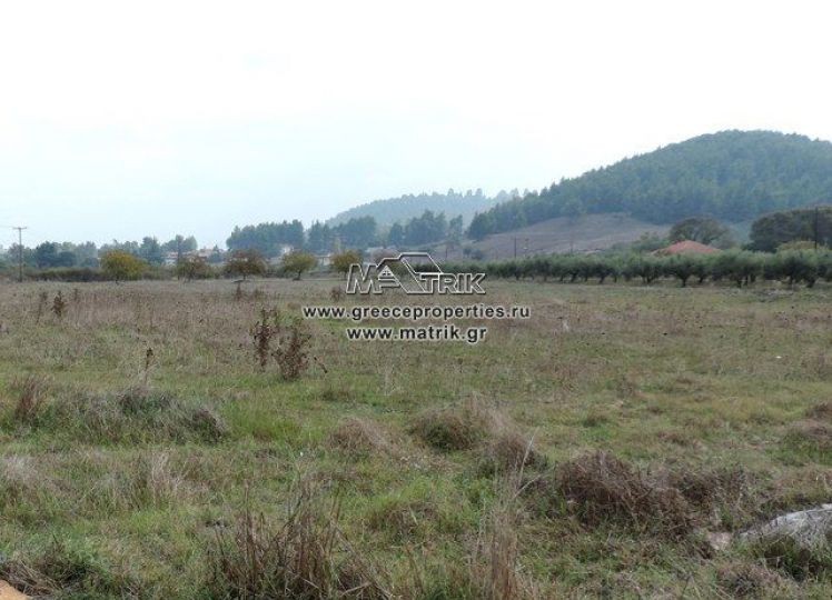 Αγροτεμάχια 5.000 τ.μ. προς πώληση, Καλλιθέα Κασσάνδρας