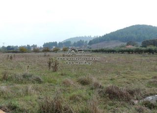 Αγροτεμάχια 5.000 τ.μ. για πώληση, Χαλκιδική, Κασσάνδρα-thumb-1