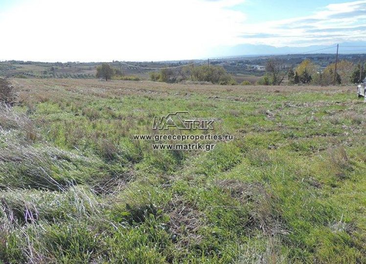 Αγροτεμάχια 7.500 τ.μ. πρός πώληση, Θεσσαλονίκη - Περιφ/Κοί Δήμοι, Επανομή