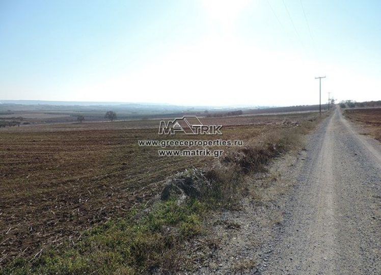 Αγροτεμάχια 9.651 τ.μ. πρός πώληση, Θεσσαλονίκη - Περιφ/Κοί Δήμοι, Θέρμη