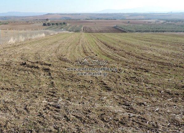 Αγροτεμάχια 9.651 τ.μ. για πώληση, Θεσσαλονίκη - Περιφ/Κοί Δήμοι, Θέρμη
