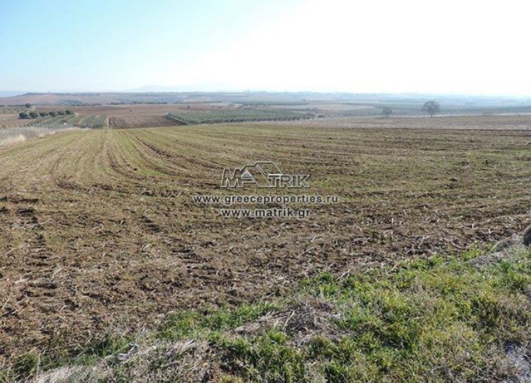 Αγροτεμάχια 9.651 τ.μ. πρός πώληση, Θεσσαλονίκη - Περιφ/Κοί Δήμοι, Θέρμη