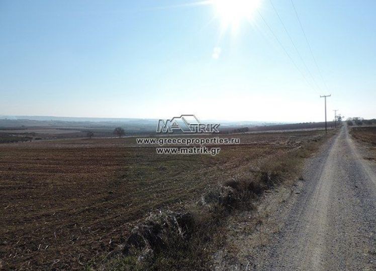 Αγροτεμάχια 9.651 τ.μ. πρός πώληση, Θεσσαλονίκη - Περιφ/Κοί Δήμοι, Θέρμη