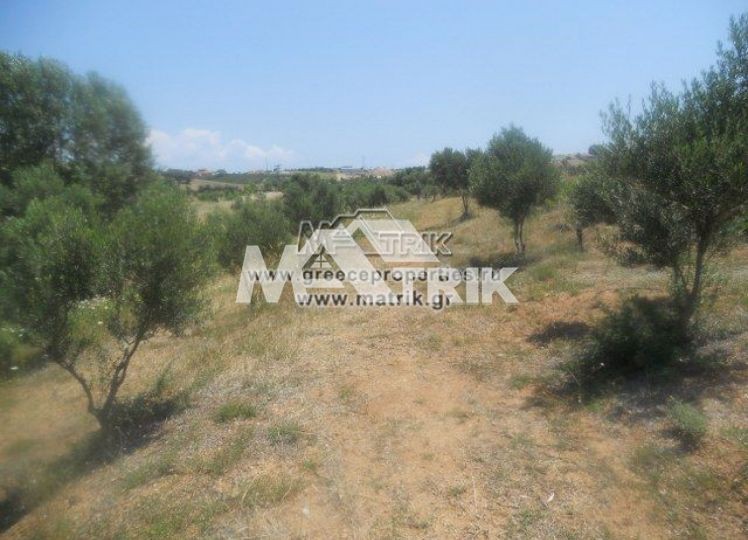 Αγροτεμάχια 21.000 τ.μ. προς πώληση, Νέα Ποτίδαια