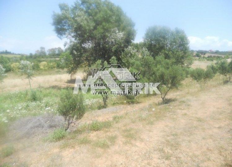 Αγροτεμάχια 21.000 τ.μ. προς πώληση, Νέα Ποτίδαια