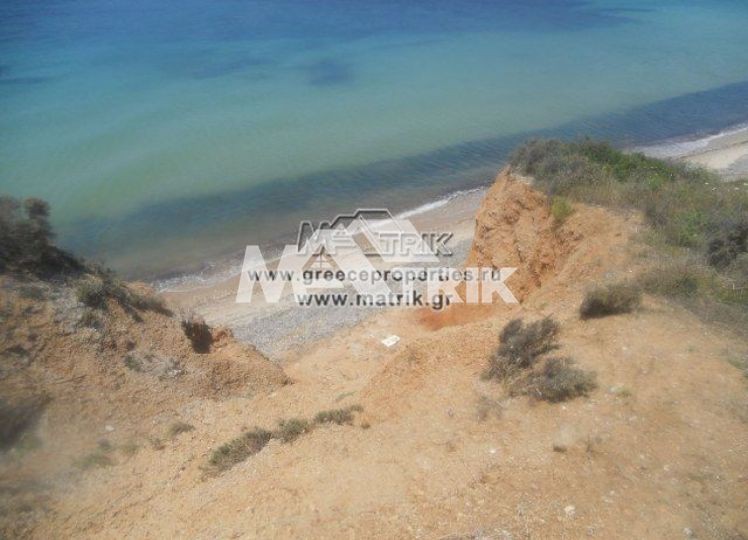 Αγροτεμάχια 21.000 τ.μ. προς πώληση, Νέα Ποτίδαια