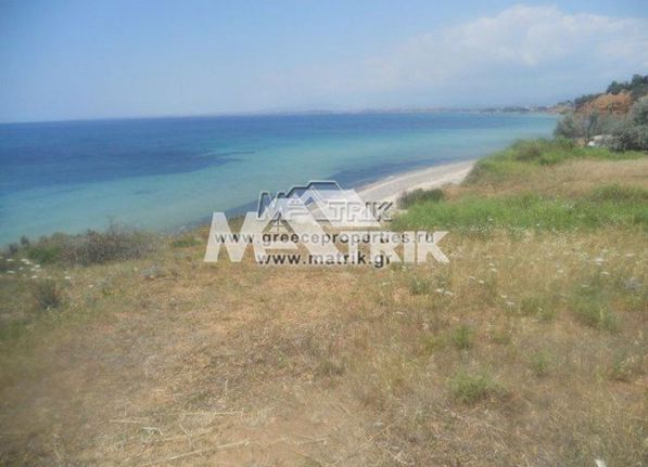 Αγροτεμάχια 21.000 τ.μ. για πώληση, Χαλκιδική, Μουδανιά