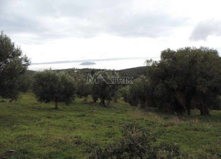 Αγροτεμάχια 16.000 τ.μ. προς πώληση, Νέος Μαρμαράς