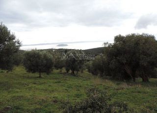 Αγροτεμάχια 16.000 τ.μ. για πώληση