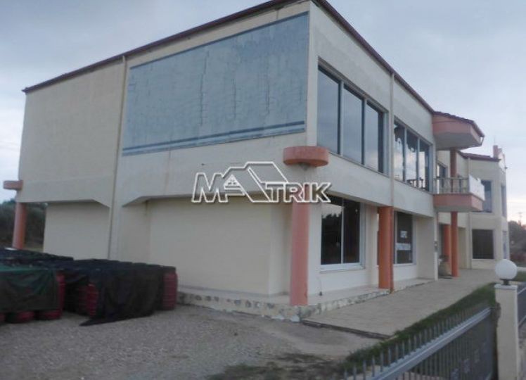 Επαγγελματικό 1.250 τ.μ. προς πώληση, Κέντρο Σιθωνίας