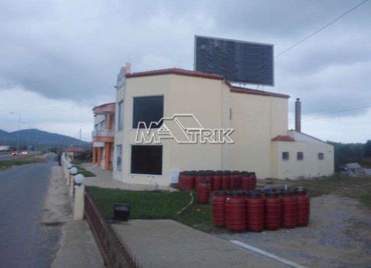 Επαγγελματικό 1.250 τ.μ. προς πώληση, Κέντρο Σιθωνίας