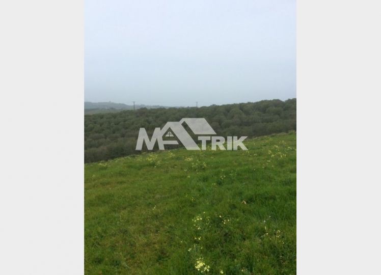Αγροτεμάχια 12.190 τ.μ. πρός πώληση, Χαλκιδική, Σταγείρων - Ακάνθου