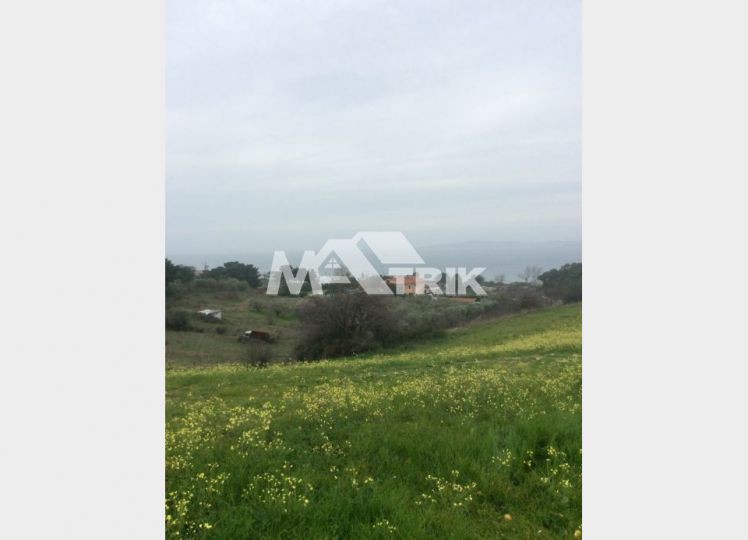 Αγροτεμάχια 21.625 τ.μ. προς πώληση, Τρυπητή Χαλκιδικής