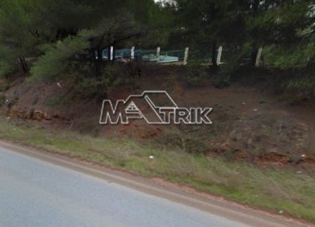 Parcel 4.175sqm for sale-Sithonia » Nikiti