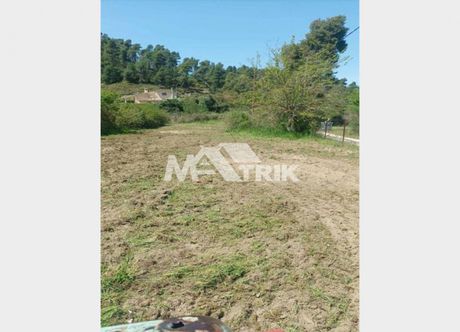 Land plot 600sqm for sale-Kassandra » Fourka