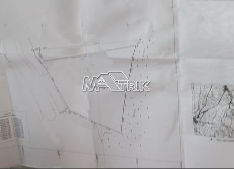 Parcel 6.977sqm for sale-Kassandra » Kallithea