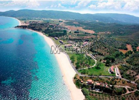 Αγροτεμάχια 25.500τ.μ. για πώληση-Σταγείρων - ακάνθου » Νέα ρόδα