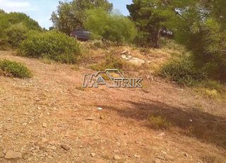 Αγροτεμάχια 4.913 τ.μ. για πώληση, Χαλκιδική, Πολύγυρος-thumb-4