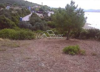 Αγροτεμάχια 4.913 τ.μ. για πώληση, Χαλκιδική, Πολύγυρος-thumb-7