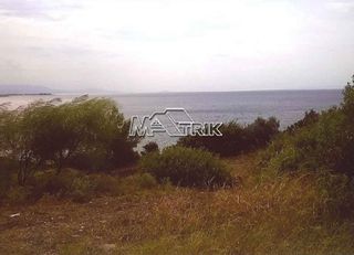 Αγροτεμάχια 4.913 τ.μ. για πώληση, Χαλκιδική, Πολύγυρος-thumb-6