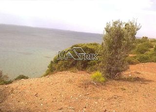 Αγροτεμάχια 4.913 τ.μ. για πώληση, Χαλκιδική, Πολύγυρος-thumb-5
