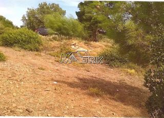Αγροτεμάχια 4.913 τ.μ. για πώληση, Χαλκιδική, Πολύγυρος-thumb-3
