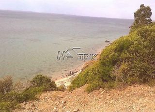 Αγροτεμάχια 4.913 τ.μ. για πώληση, Χαλκιδική, Πολύγυρος-thumb-1