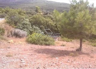 Αγροτεμάχια 4.913 τ.μ. για πώληση, Χαλκιδική, Πολύγυρος-thumb-2