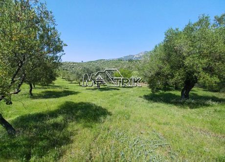 Αγροτεμάχια 3.690τ.μ. για πώληση-Σιθωνία » Νέος μαρμαράς