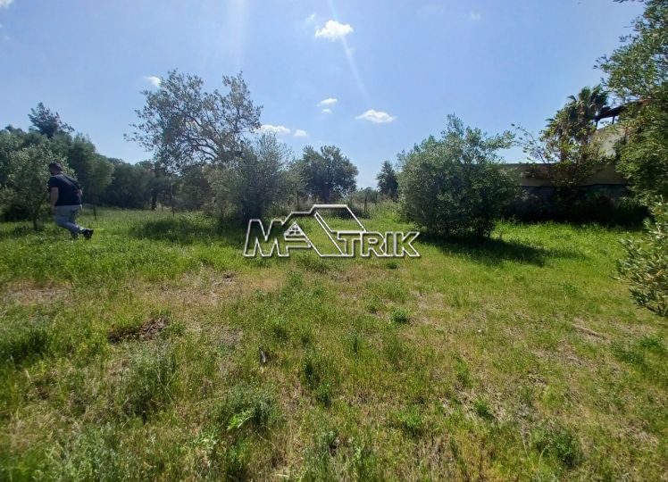 Αγροτεμάχια 3.690 τ.μ. προς πώληση, Νέος Μαρμαράς