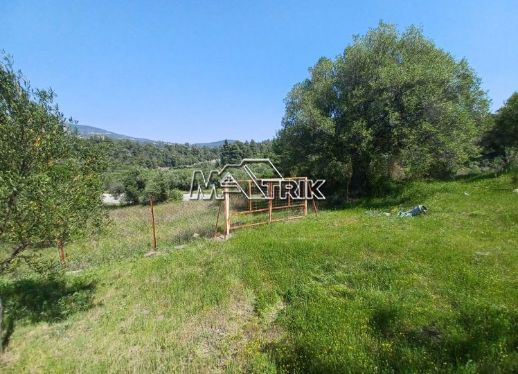 Αγροτεμάχια 3.690 τ.μ. προς πώληση, Νέος Μαρμαράς