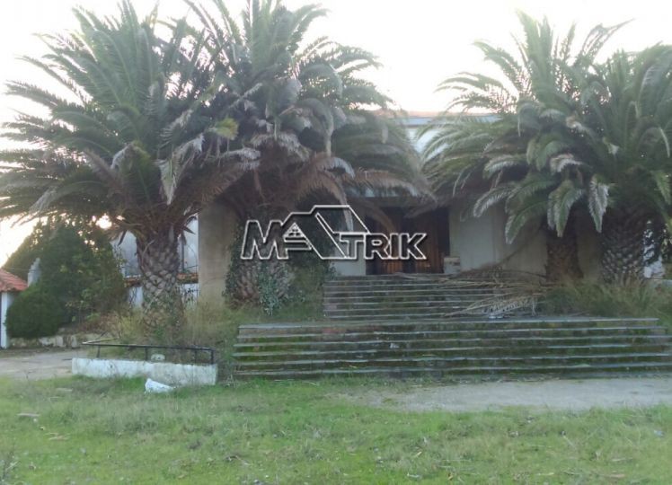 Επαγγελματικό 1.200 τ.μ. προς πώληση, Τρυπητή Χαλκιδικής