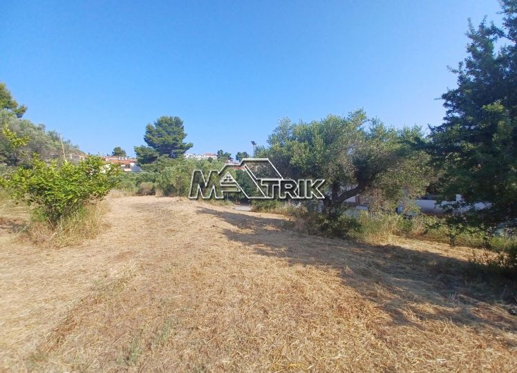Οικόπεδο 1.424 τ.μ. πρός πώληση, Χαλκιδική, Παλλήνη