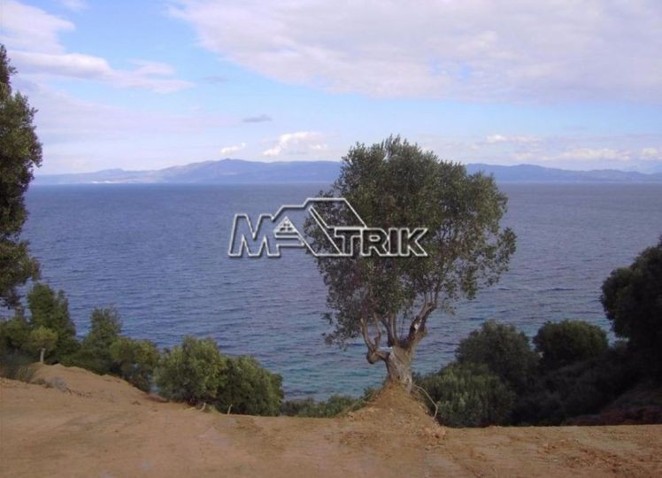 Αγροτεμάχια 9.884 τ.μ. πρός πώληση, Χαλκιδική, Παλλήνη