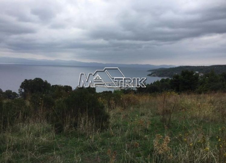 Αγροτεμάχια 9.884 τ.μ. πρός πώληση, Χαλκιδική, Παλλήνη