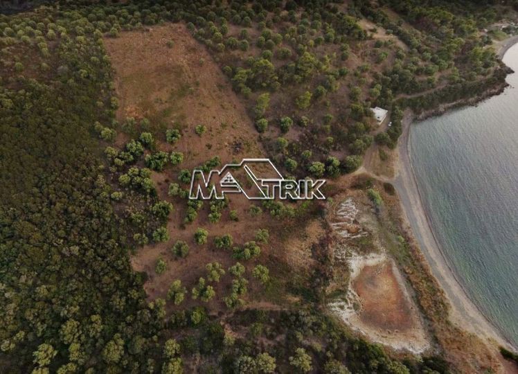 Αγροτεμάχια 13.400 τ.μ. πρός πώληση, Χαλκιδική, Παλλήνη